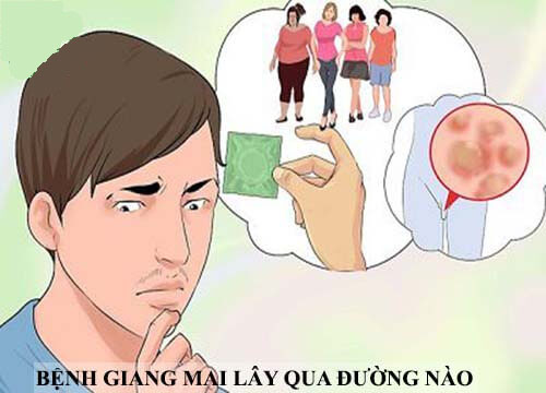 giang mai lây qua đường nào